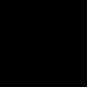 Meet your Posher, Zack